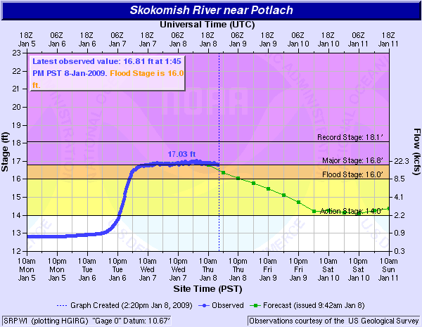Skokomish River near Potlatch