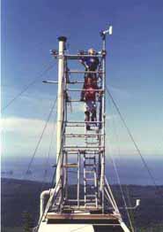 Cheeka Tower