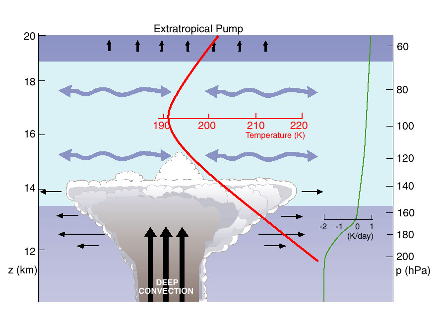 stratosphere-troposphere exchange