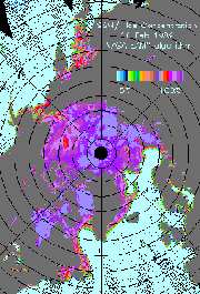 sea ice concentration image